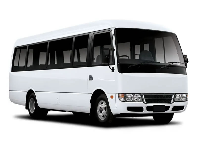ROSA Buses