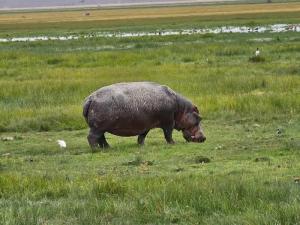 An amazing sighting ...