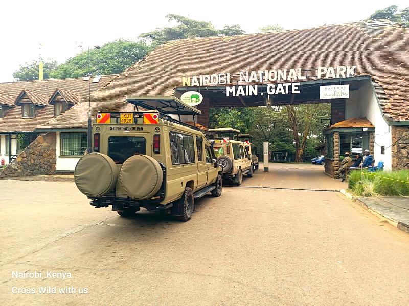 1 Day Half Day Nairobi national park safaris