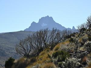 5 Days, 4 Nights Mt Kenya Climbing