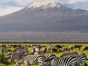3 Days, 2 Nights Amboseli National Park