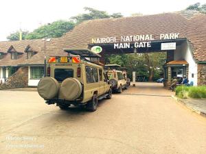 1 Day Half Day Nairobi national park safaris